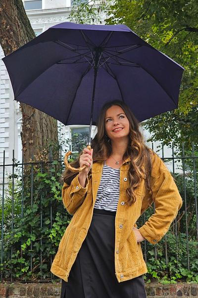 G938-03 Navy (Синий) Зонт мужской механика Fulton Fulton, Артикул: G938-03 Navy фото №1