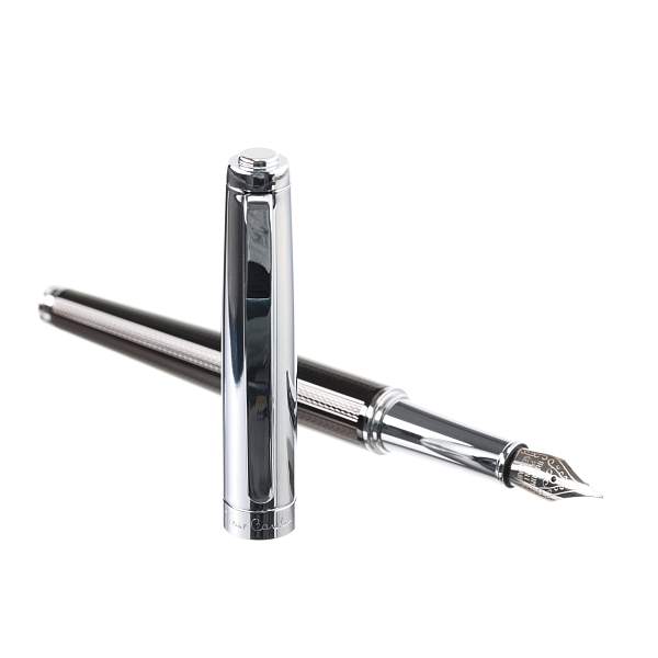 Ручка перьевая Pierre Cardin LEO, цвет - серебристый и коричневый. Упаковка B-1 PC0650FP Pierre Cardin, Артикул: PC0650FP фото №1