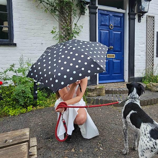 L501-4479 SmileySpot (Смайлы) Зонт женский механика Fulton Fulton, Артикул: L501-4479 SmileySpot фото №1