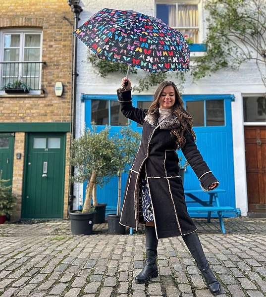 L354-4482 Butterfly (Бабочки) Зонт женский механика Fulton Fulton, Артикул: L354-4482 Butterfly фото №1