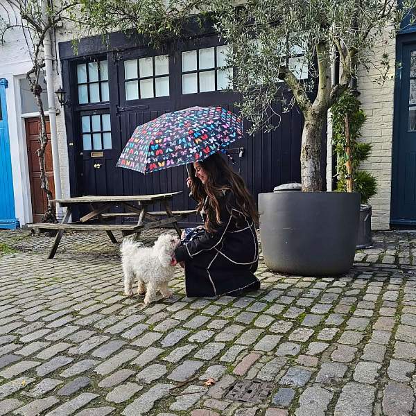 L354-4482 Butterfly (Бабочки) Зонт женский механика Fulton Fulton, Артикул: L354-4482 Butterfly фото №1