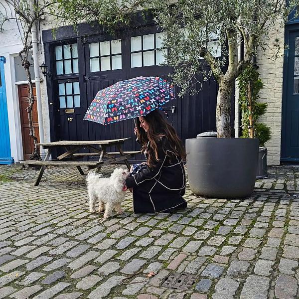 L354-4482 Butterfly (Бабочки) Зонт женский механика Fulton Fulton, Артикул: L354-4482 Butterfly фото №1