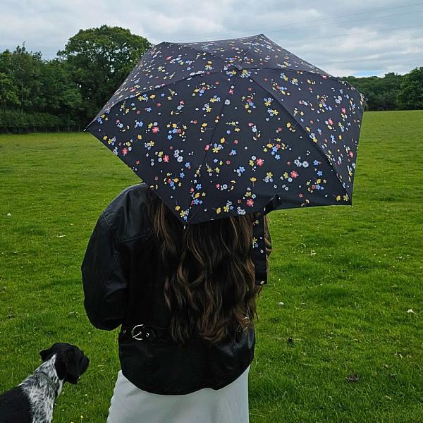 L501-4477 ButtercupSpring (Весенний лютик) Зонт женский механика Fulton Fulton, Артикул: L501-4477 ButtercupSpring фото №1