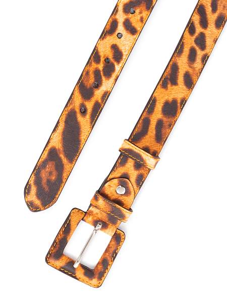 Ремень поясной ELEGANZZA Z-PL04 l.blue Eleganzza, Артикул: Z-PL04-100_01-0003 фото №1