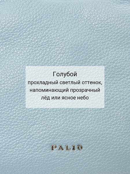 Сумка Palio 18800A 821 CFFGA Palio, Артикул: 18800A-01-00050131 фото №1