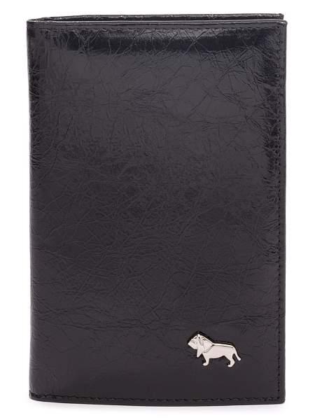 Обложка Labbra L089-1613 black Labbra, Артикул: L089-1613-01-00038309 фото №1