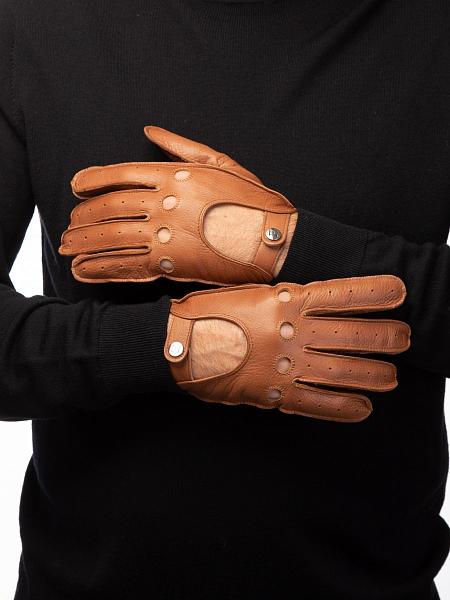 Перчатки мужские б/п OS899 black Eleganzza, Артикул: OS899-95_01-00033 фото №1