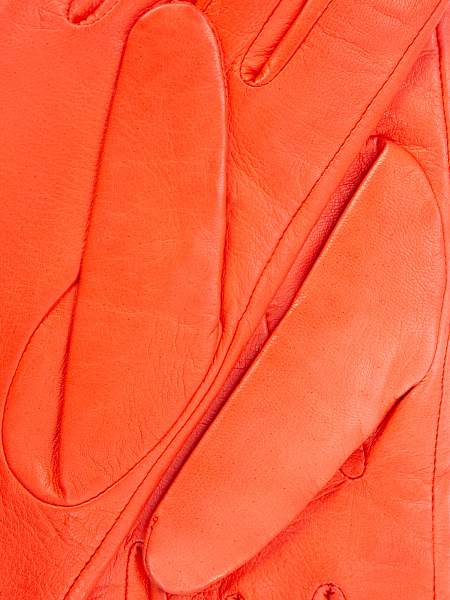 Перчатки женские ш/п F-IS5100 black Eleganzza, Артикул: F-IS5100-75_01-00012 фото №1