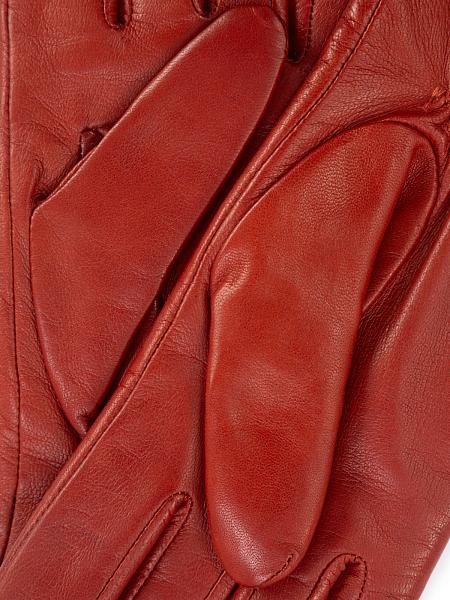 Перчатки женские ш+каш. F-IS5800 lobster Eleganzza, Артикул: F-IS5800-7_01-000125 фото №1