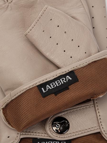 Перчатки жен ш/п LB-1005 black Labbra, Артикул: LB-1005-75_01-00039 фото №1