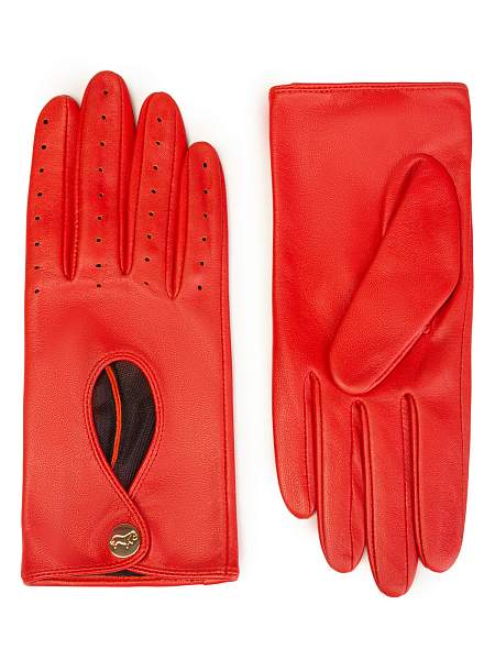 Перчатки жен ш/п LB-9555 black Labbra, Артикул: LB-9555-7_01-000540 фото №1