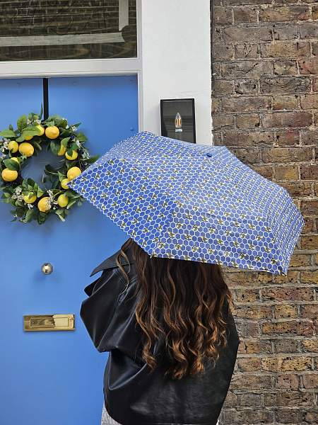 L918-4219 Beehive (Пчелы) Зонт женский механика Fulton Fulton, Артикул: L918-4219 фото №1