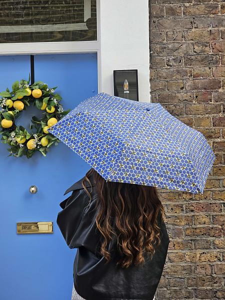 L918-4219 Beehive (Пчелы) Зонт женский механика Fulton Fulton, Артикул: L918-4219 фото №1