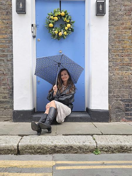 L918-4219 Beehive (Пчелы) Зонт женский механика Fulton Fulton, Артикул: L918-4219 фото №1