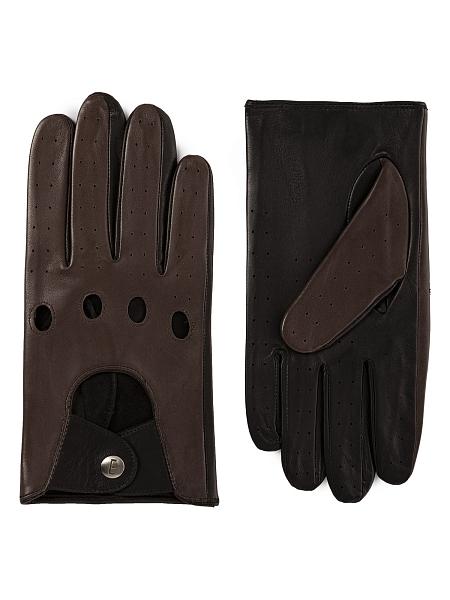 Перчатки мужские б/п IS01115 d.brown/black Eleganzza, Артикул: IS01115-8_01-000558 фото №1