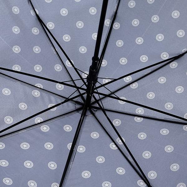 UFJ0035-2 Зонт-трость жен. Fabretti, сатин Fabretti, Артикул: UFJ0035-2 фото №1