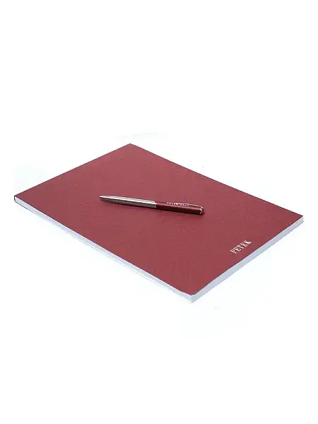 Папка мужская кожаная Petek 681.Х10.A02 Petek, Артикул: 681.Х10.A02 фото №1