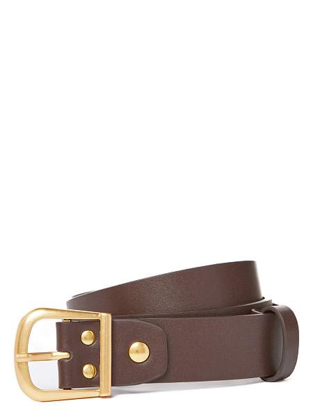 Ремень поясной ELEGANZZA ZG-14 truffle Eleganzza, Артикул: ZG-14-100_01-0005 фото №1