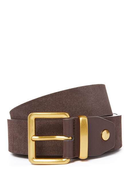 Ремень поясной ELEGANZZA ZG-05V truffle Eleganzza, Артикул: ZG-05V-110_01-0005 фото №1