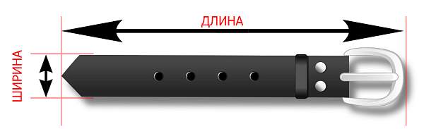 Ремень 2402/35/1-120 bruno perri чёрный Bruno Perri, Артикул: 2402/35/1-120 фото №1