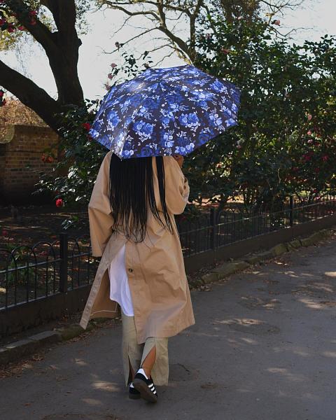 L354-4581 China Rose (Китайская роза) Зонт женский механика Fulton Fulton, Артикул: L354-4581 фото №1