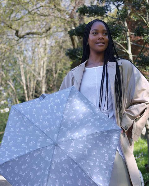 L501-4577 Tiny Hare & Meadow (Крошечный заяц) Зонт женский механика Fulton Fulton, Артикул: L501-4577 фото №1