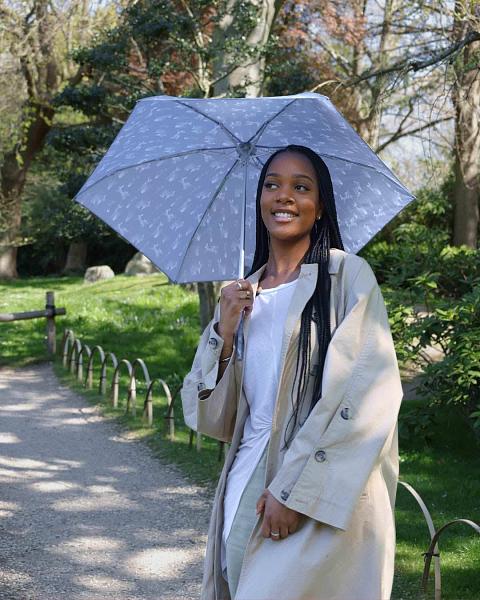 L501-4577 Tiny Hare & Meadow (Крошечный заяц) Зонт женский механика Fulton Fulton, Артикул: L501-4577 фото №1