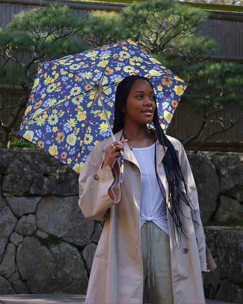 L501-4579 Tiny Bumble Bee Flora (Флора) Зонт женский механика Fulton Fulton, Артикул: L501-4579 фото №1