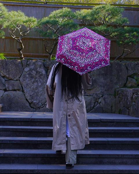 L501-4580 Tiny Funky Leopard (Флора в стиле леопарда) Зонт женский механика Fulton Fulton, Артикул: L501-4580 фото №1