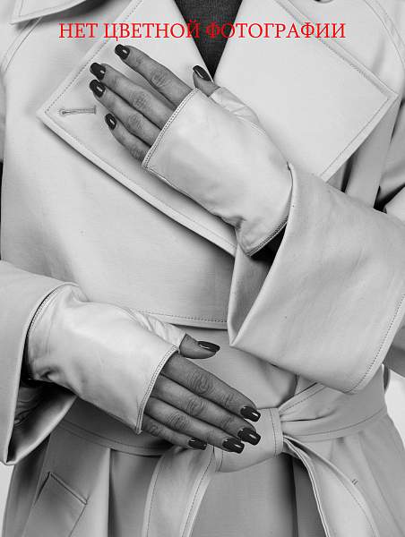 Перчатки женские ш/п 00320 antler Eleganzza, Артикул: 00320-65_01-00057 фото №1