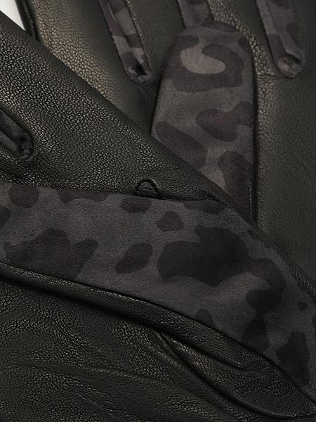 Перчатки женские ш+каш. IS00146 black/grey Eleganzza, Артикул: IS00146-75_01-00037 фото №1