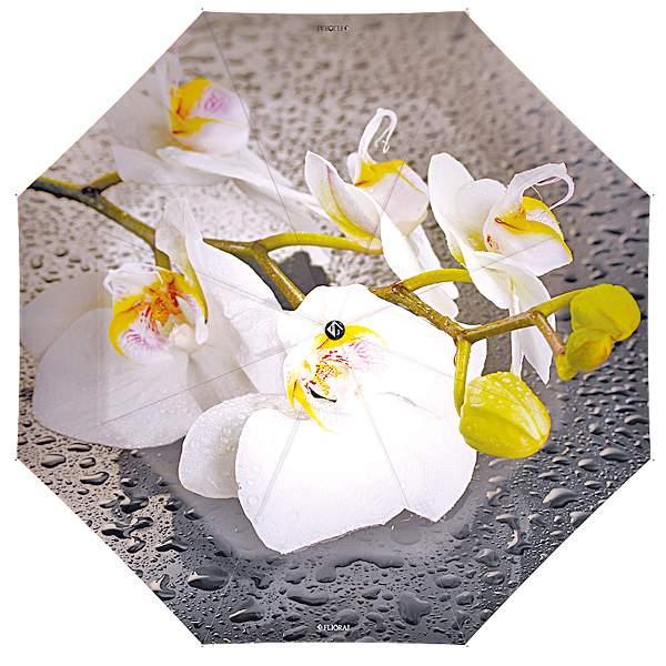 Зонт складной женский Flioraj 231204 FJ Flioraj, Артикул: 231204 FJ фото №1